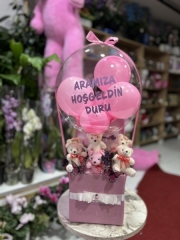 Hoşgeldin bebek