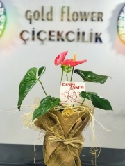 Antoryum